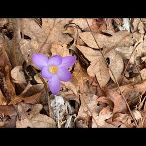 Meet your Posher, Eugenia